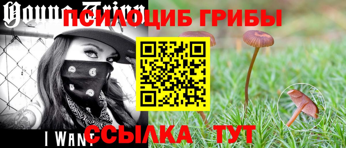 Галлюциногенные грибы Magic Shrooms  Вход с VPN  Урюпинск 