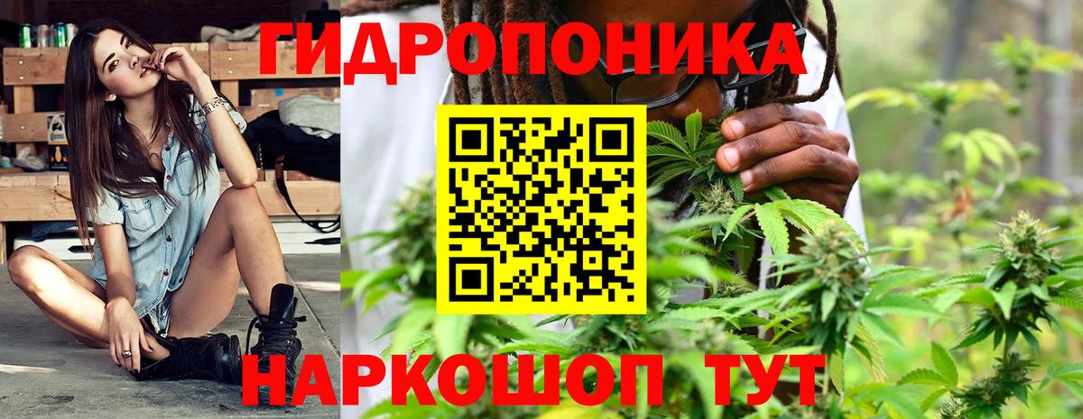 Конопля планчик  Вход с VPN  Канабис THC 21%  Урюпинск 